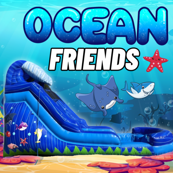 Ocean friends 16 ft