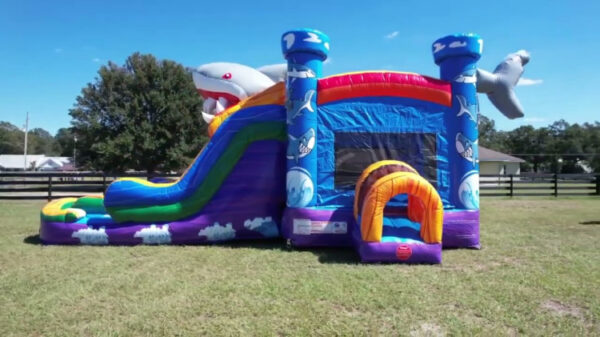 Shark Attack Dual Lane Bounce House Inflated pool - Image 2